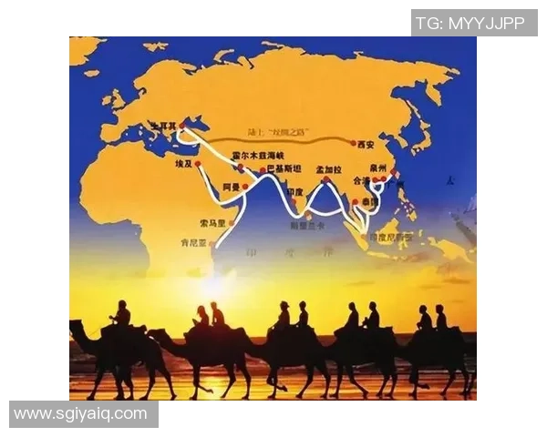 上海排球队快攻革新之路探索与发展全景分析 上海排球队快攻革新之路探索与发展全景分析